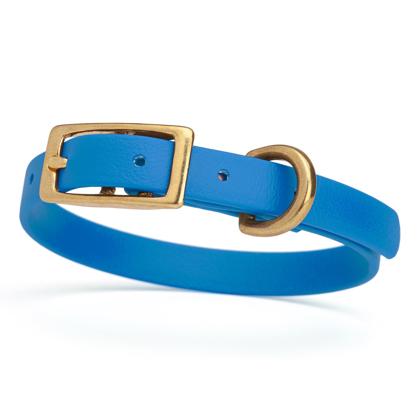 Waterproof Biothane Collar with Solid Brass Hardware - Assorted Colours