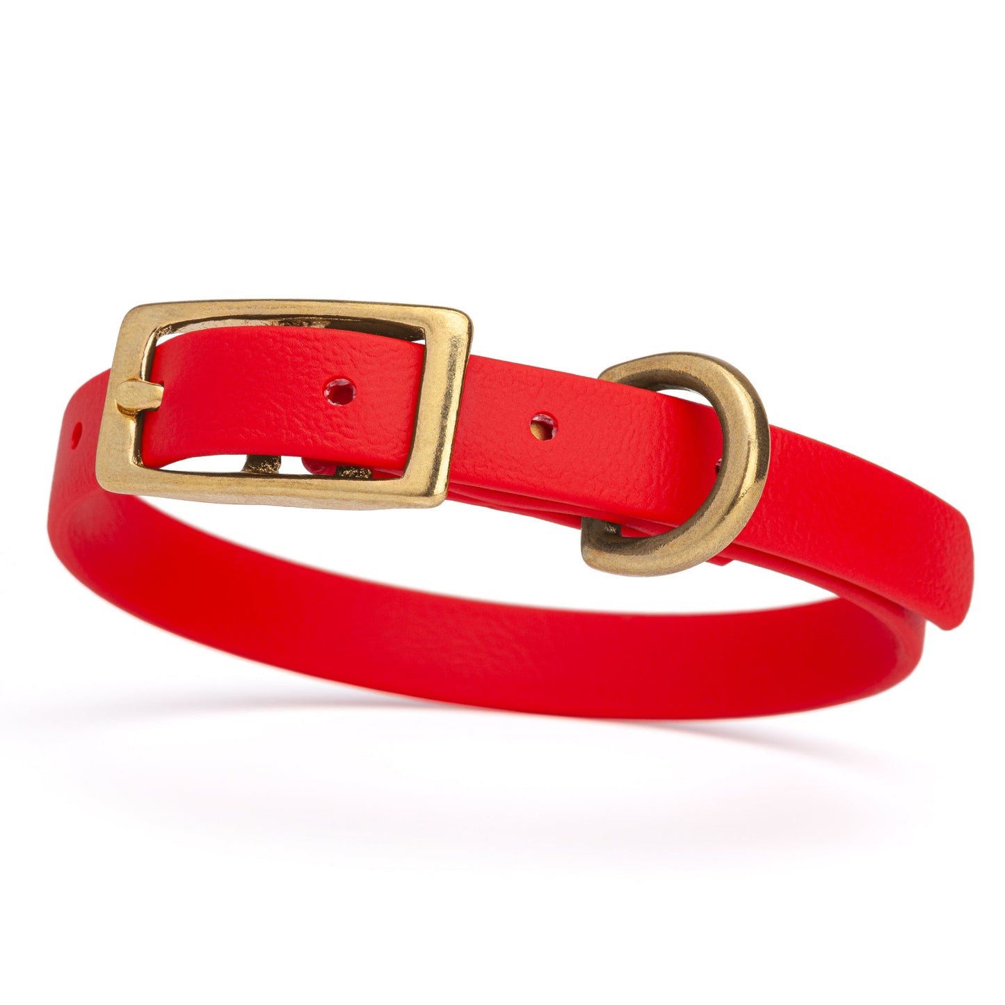 Waterproof Biothane Collar with Solid Brass Hardware - Assorted Colours