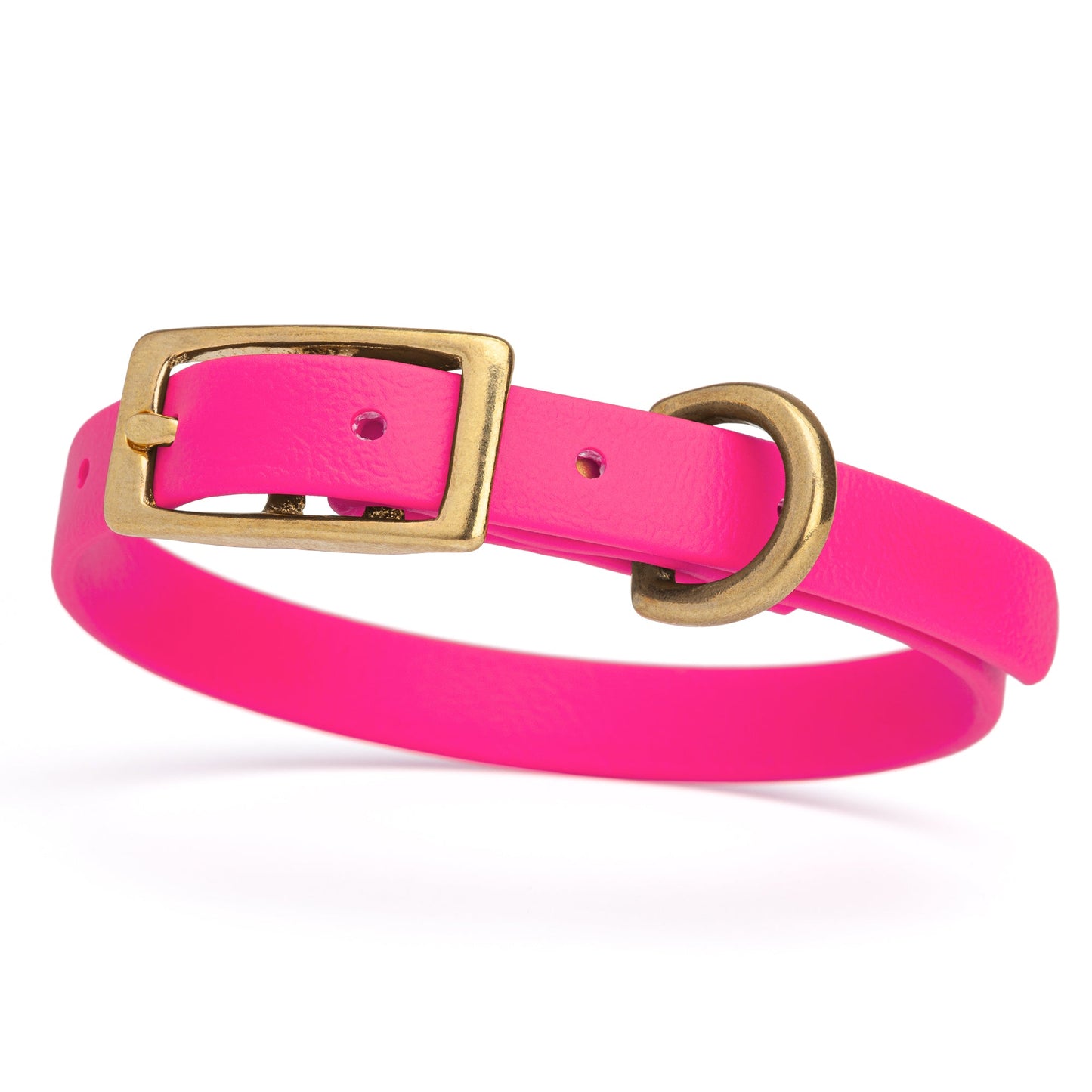 Waterproof Biothane Collar with Solid Brass Hardware - Assorted Colours