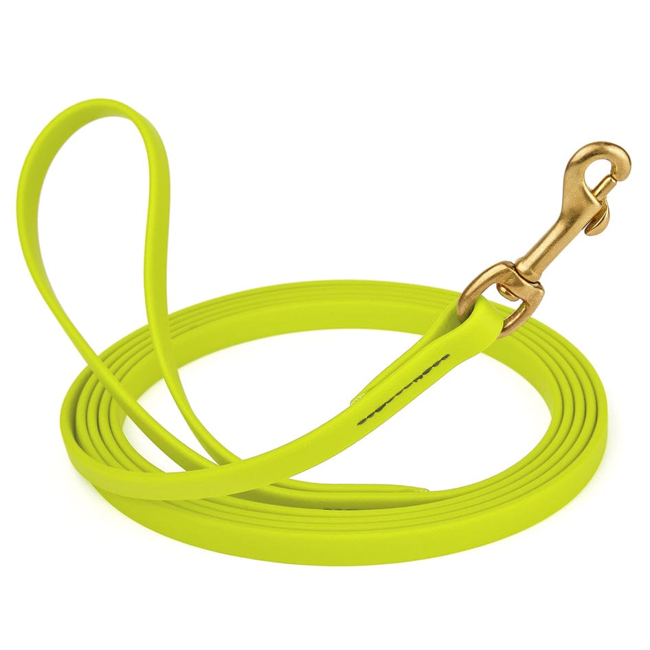 Waterproof Biothane Dog Long Lead 5/8" x 20' with Solid Brass Clip stitched onto Lead -much SAFER than using Grommets-Boats n Barks