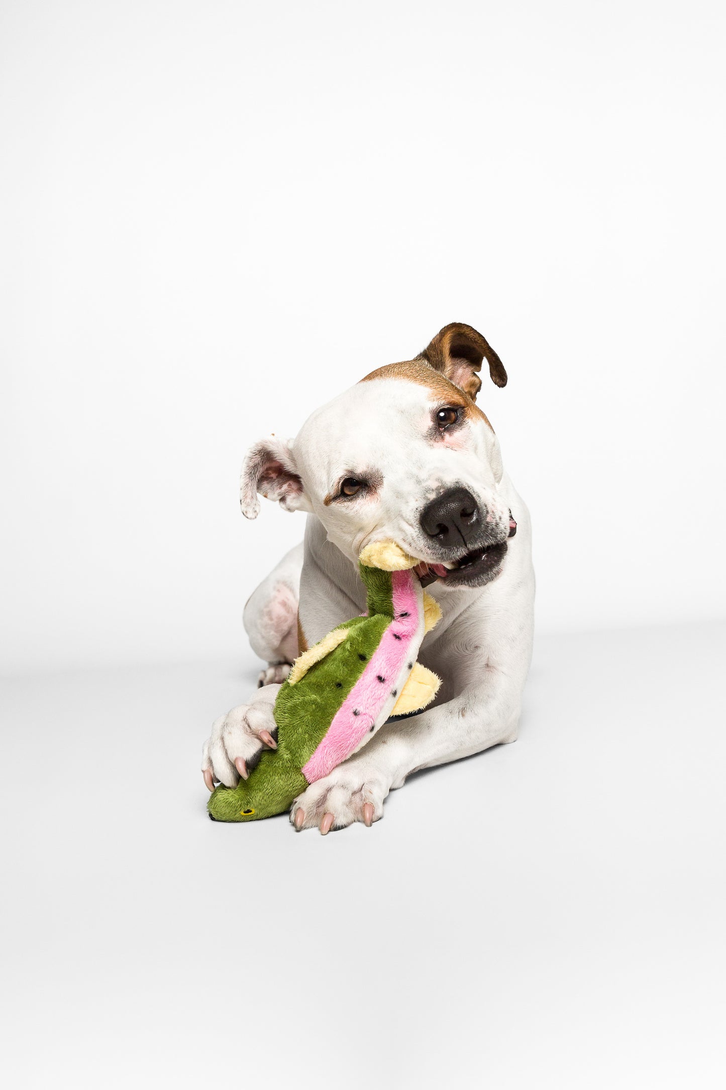 Fluff & Tuff Burt Lake Trout Soft Dog Toy with Squeaker Machine Washable 12"
