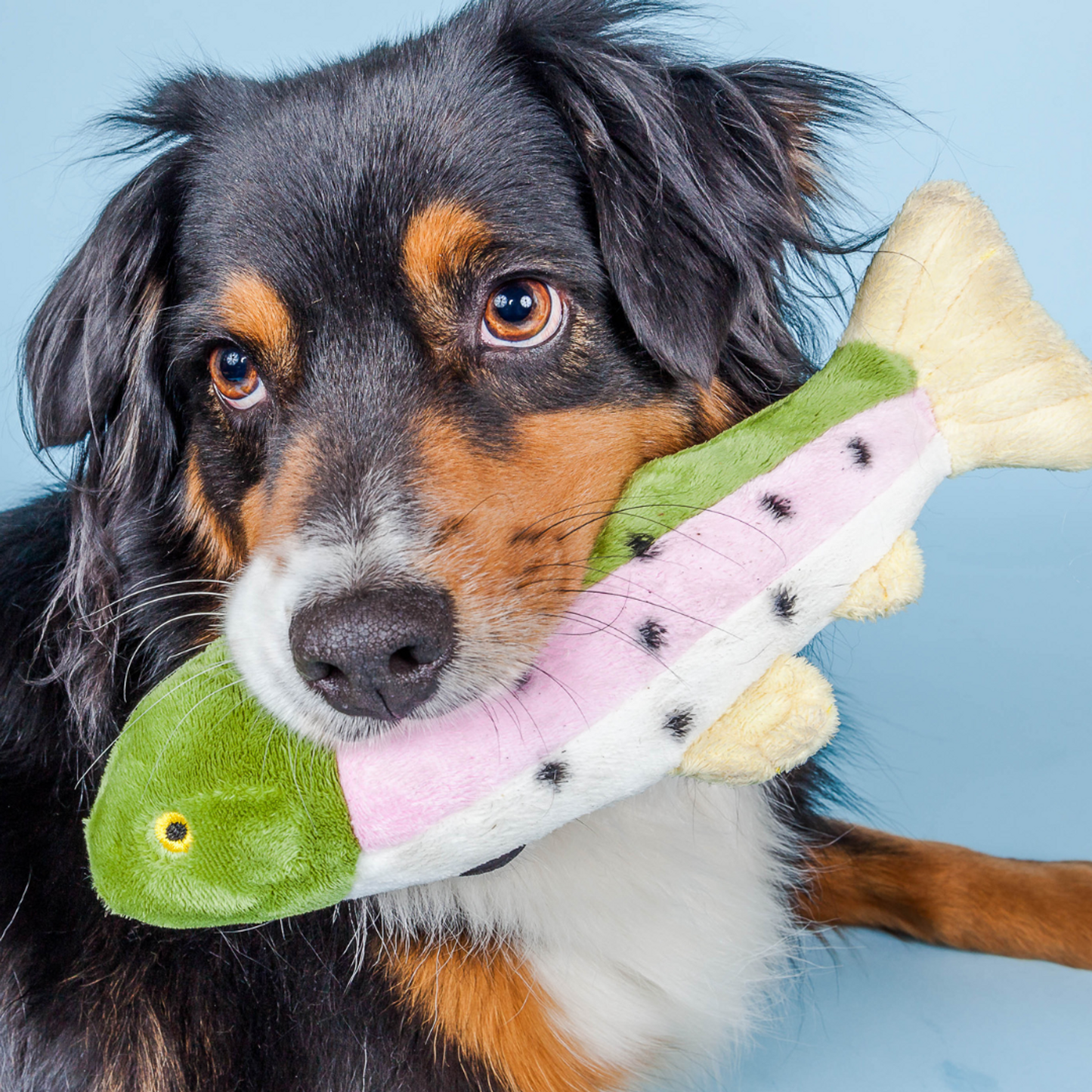 Fluff & Tuff Burt Lake Trout Soft Dog Toy with Squeaker Machine Washable 12"