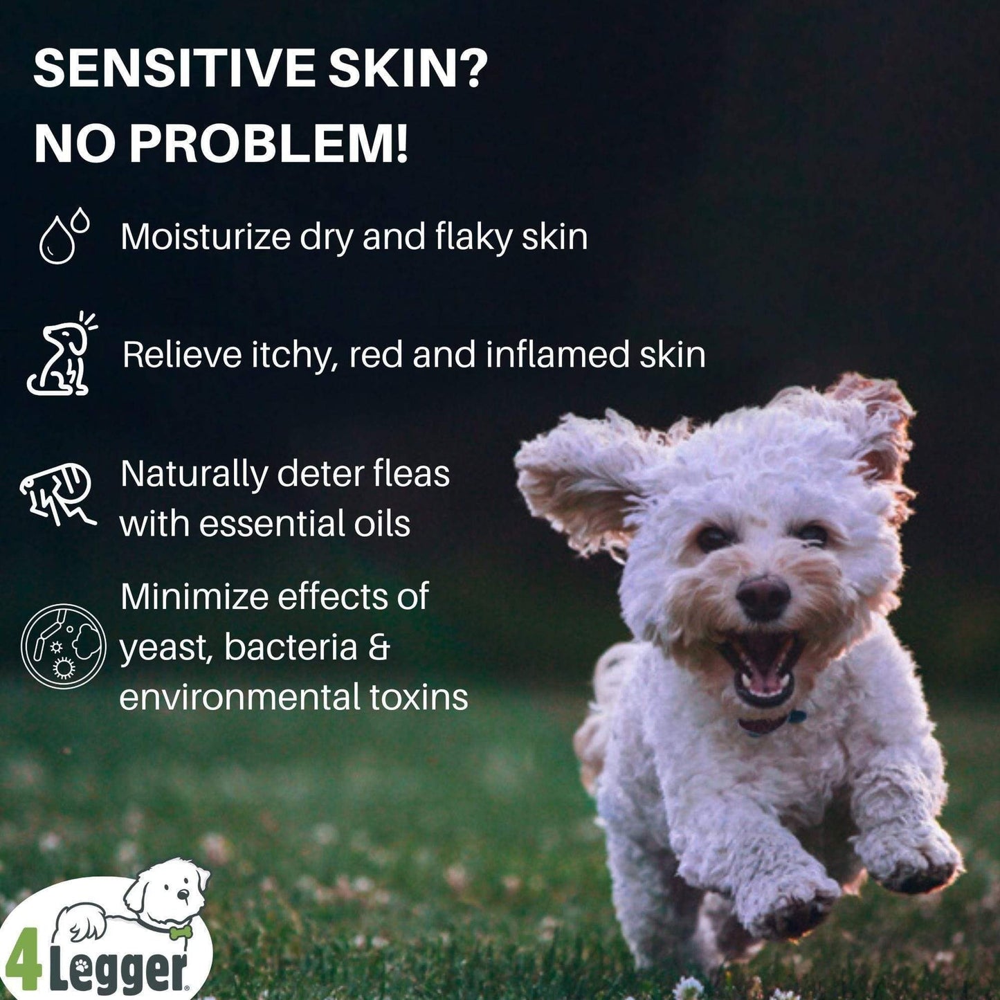 Organic Lemongrass, Aloe & Coconut Oil Hypoallergenic Dog Shampoo 100% Natural