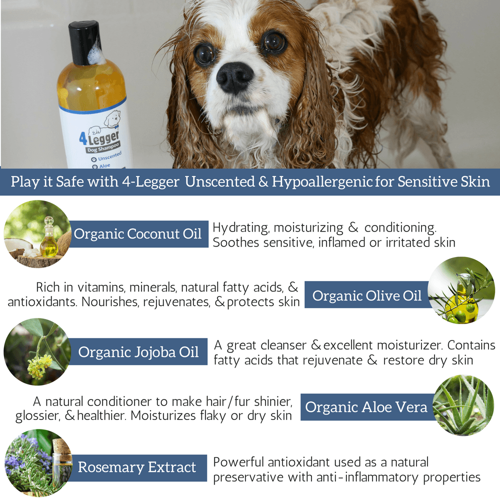 Organic Unscented Aloe Vera & Coconut Oil Hypoallergenic Shampoo for Dogs 100% Natural