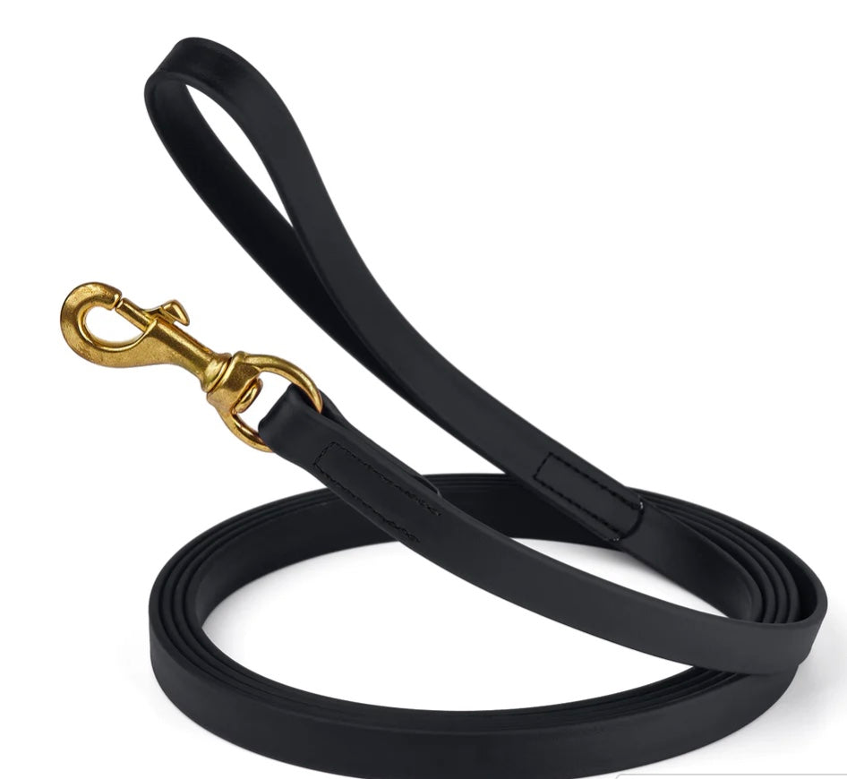 Waterproof Biothane Dog Long Lead 5/8" x 33' with Solid Brass Clip stitched onto Lead -much SAFER than using Grommets