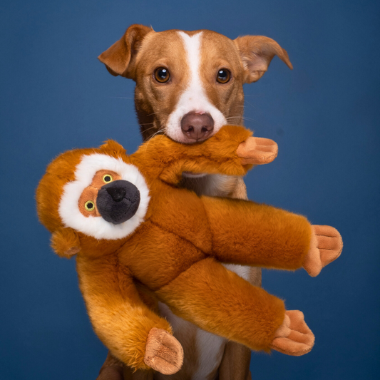 Fluff & Tuff Marcel Monkey Soft Dog Toy with Squeaker Machine Washable