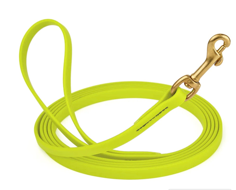 Waterproof Biothane Dog Long Lead 5/8" x 33' with Solid Brass Clip stitched onto Lead -much SAFER than using Grommets