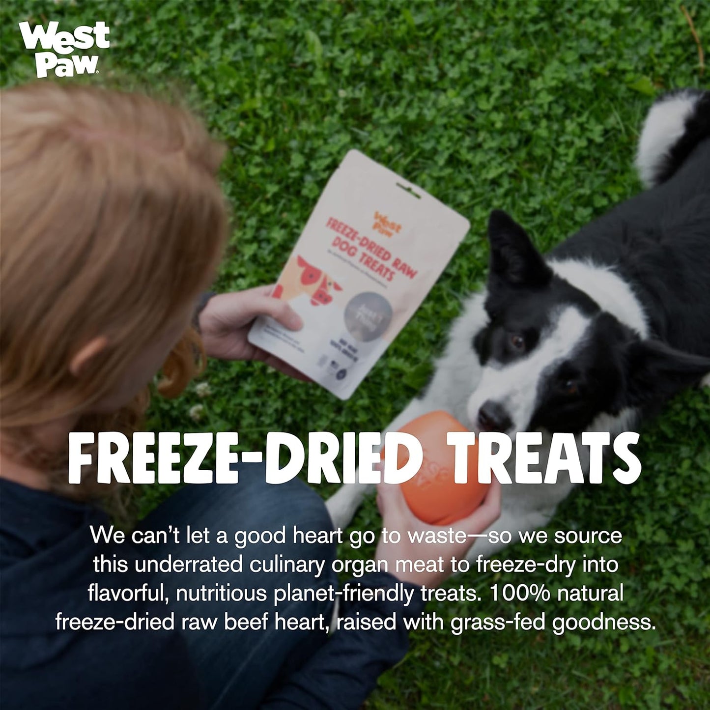 West Paw Freeze-Dried Raw All Natural Dog & Puppy Beef Heart Dog Training Treats