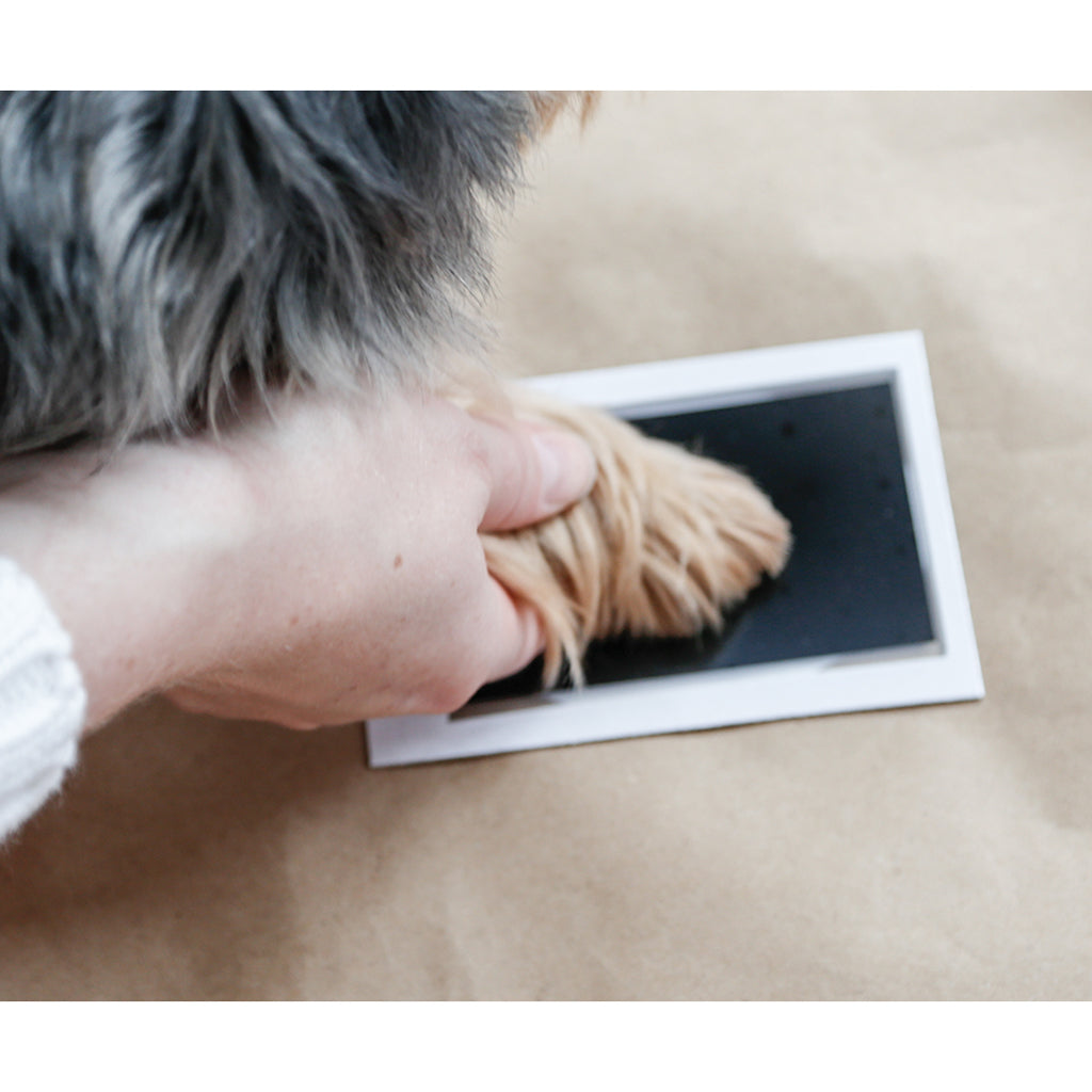 Pearhead Clean Touch Ink Pad and 2 Impression Cards for Dogs Pawprints
