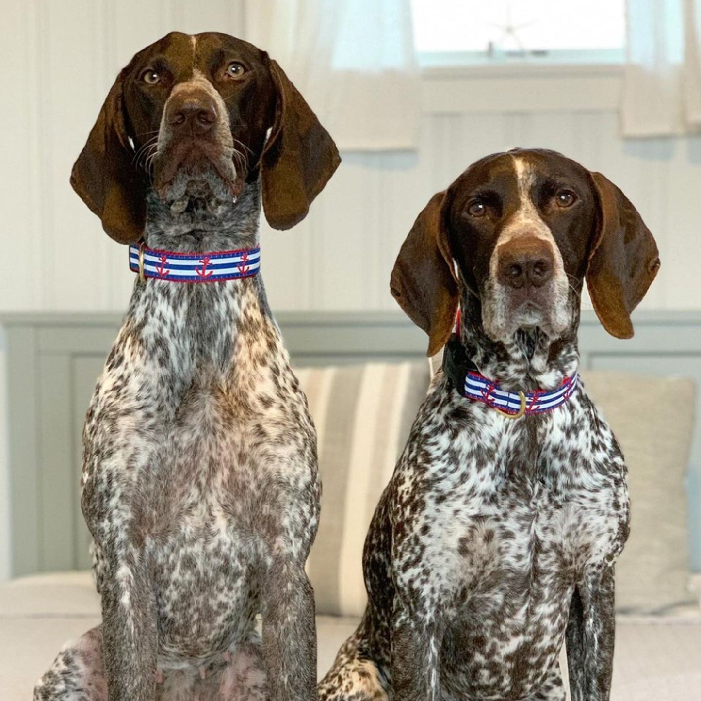 Pink/Navy Stripes Dog Collar by Up Country