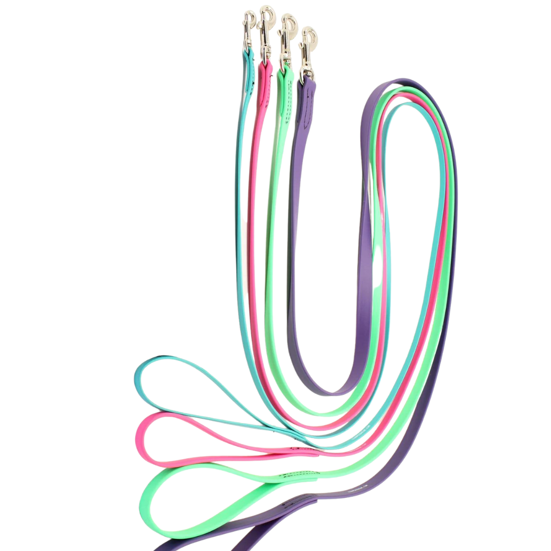 BioThane 6' Snap Leash for Dogs