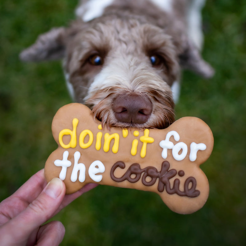Doin' It for the Cookie 6" Bone Dog Cookie made by Bosco & Roxy's of Canada