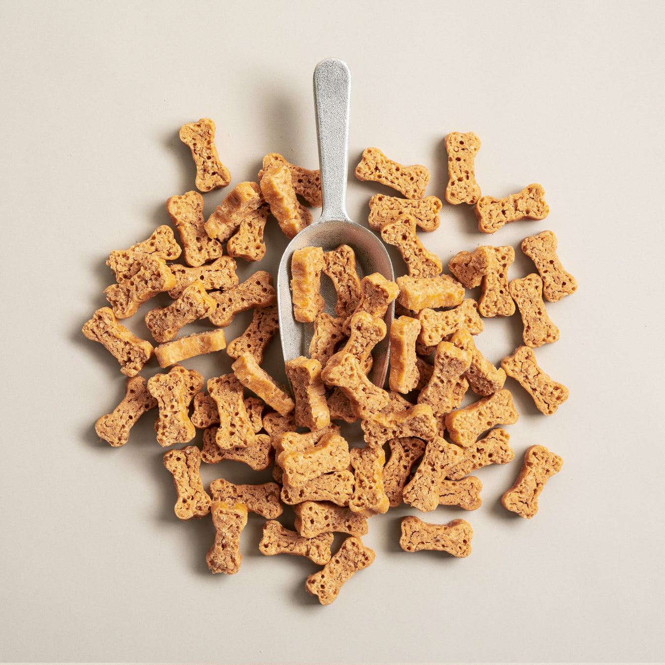 Salmon Says Bone Shaped Crunchy Salmon Dog Treats