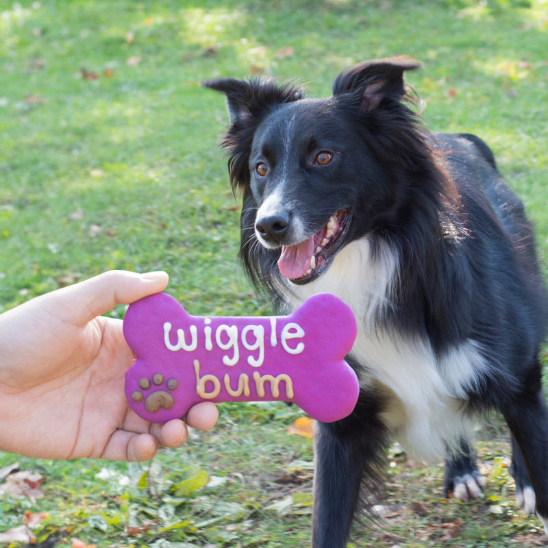 Wiggle Bum 6" Bone Shaped Cookie for Dogs