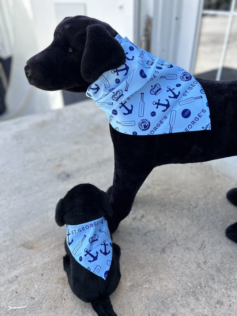 St. George's Cup Match Classic Cricket Game Dog Bandana Large 22"x22"x30"-Boats n Barks