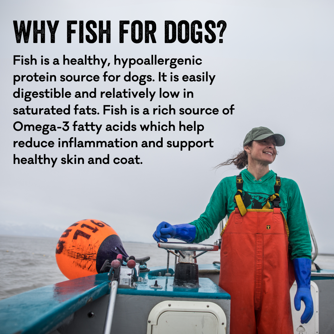 Salmon Says Bone Shaped Crunchy Salmon Dog Treats