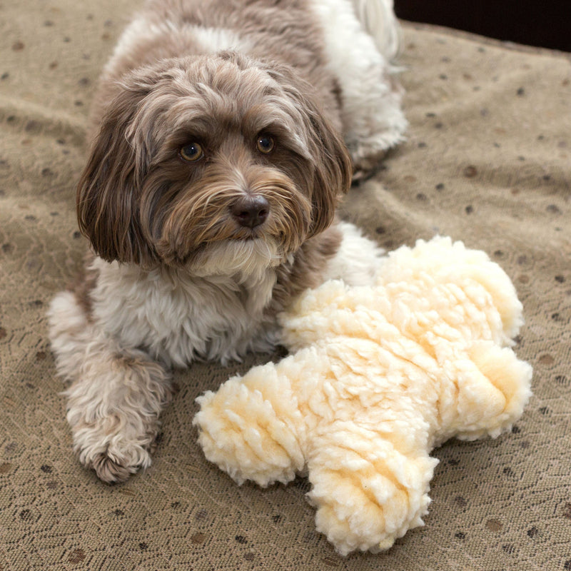 Hugglehounds Fleece Man with Squeaker Dog Toy - Small