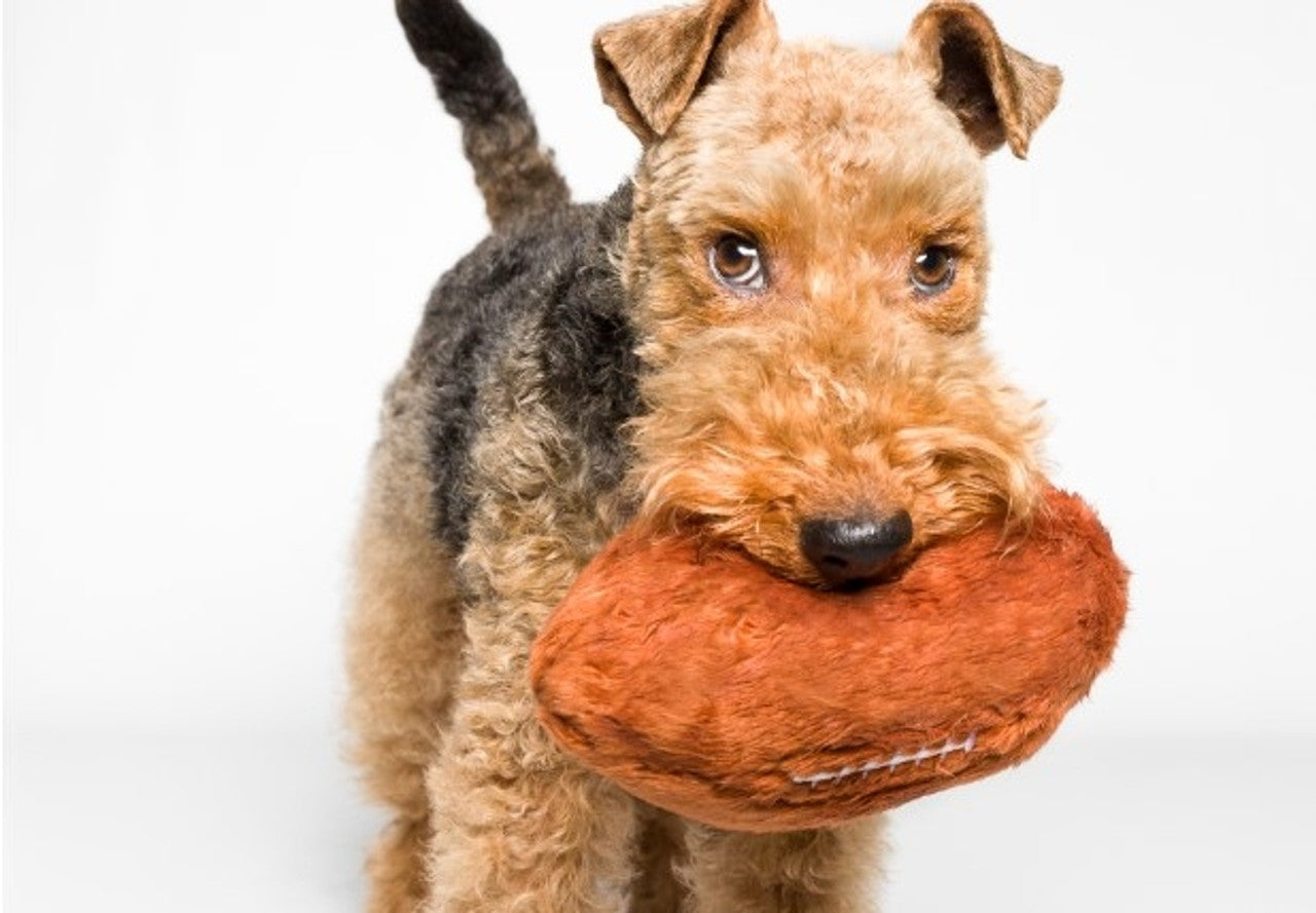 Fluff & Tuff American Football - Medium Plush Dog Toy