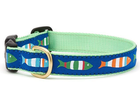 Funky Fish Dog Collar by Up Country