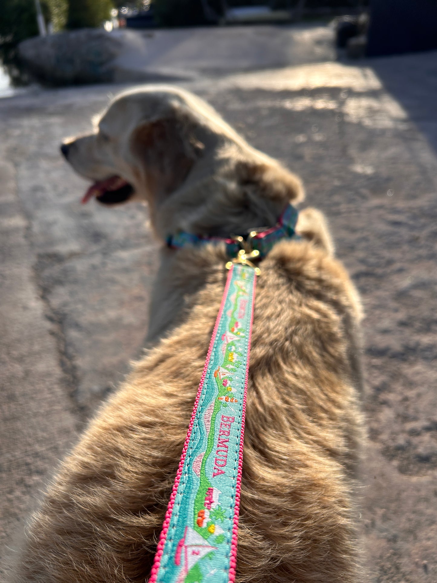 Bermuda Custom Dog Lead on Pink