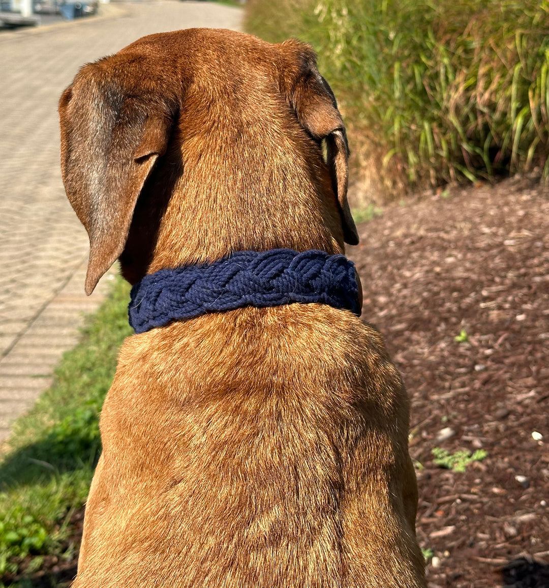 Chesapeake Woven Rope Seaside Collar for Dogs