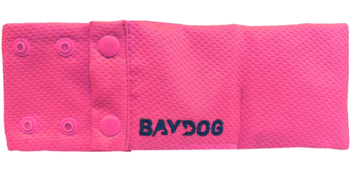 Arctic Bay Cooling Collar for Dogs