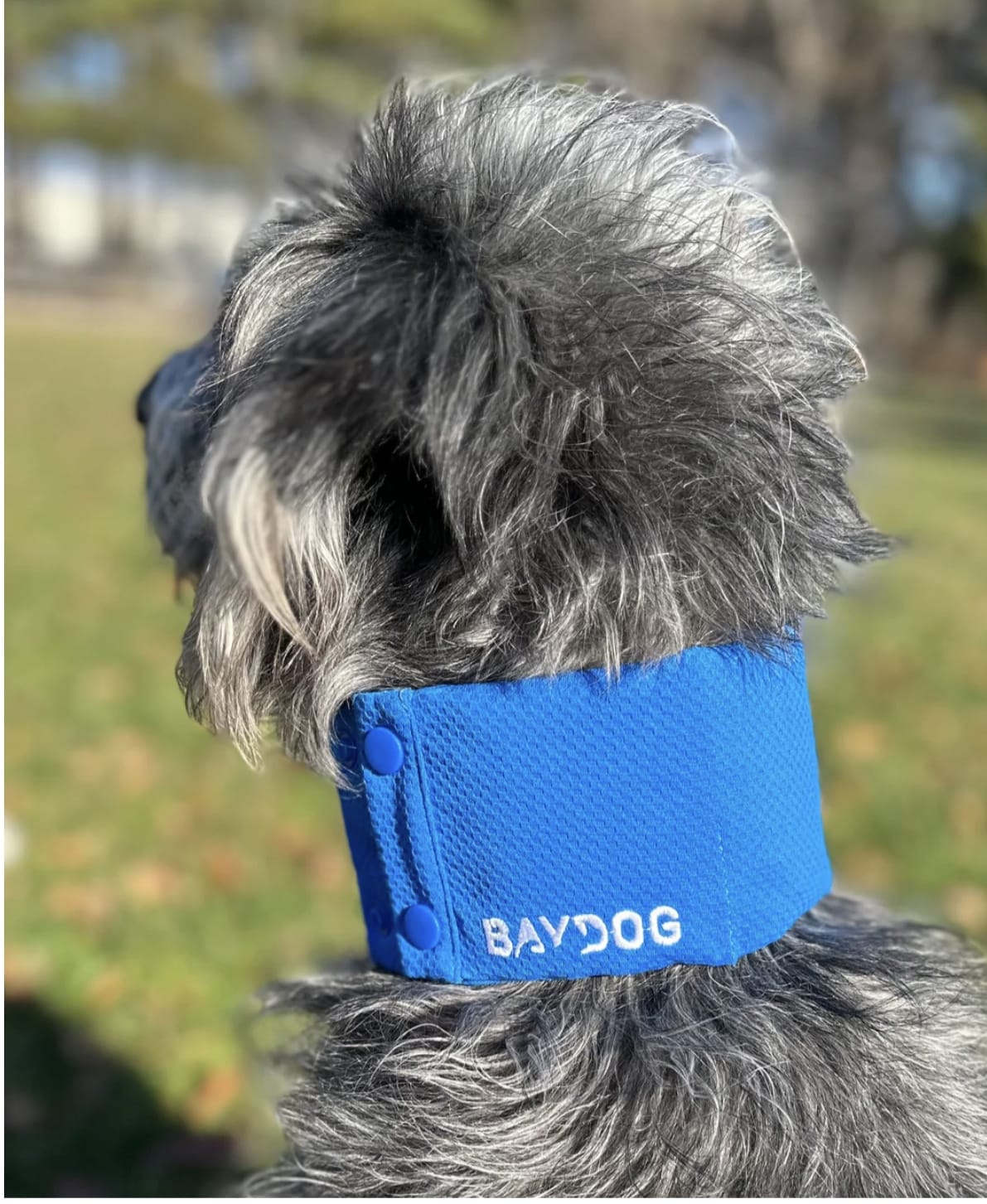 Arctic Bay Cooling Collar for Dogs-Boats n Barks