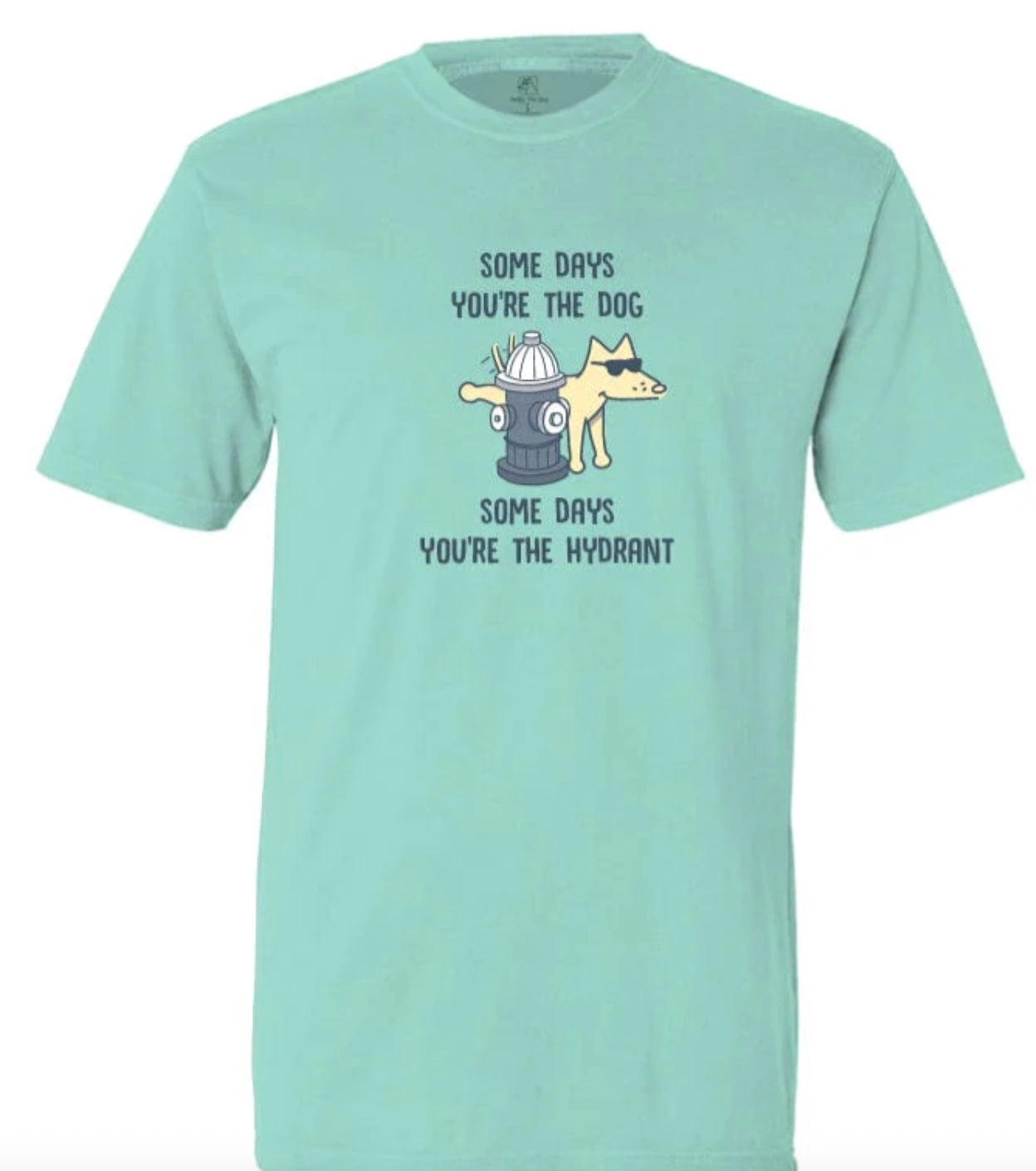 "Some Days You're The Dog" Chalky Mint Medium T-Shirt For Humans