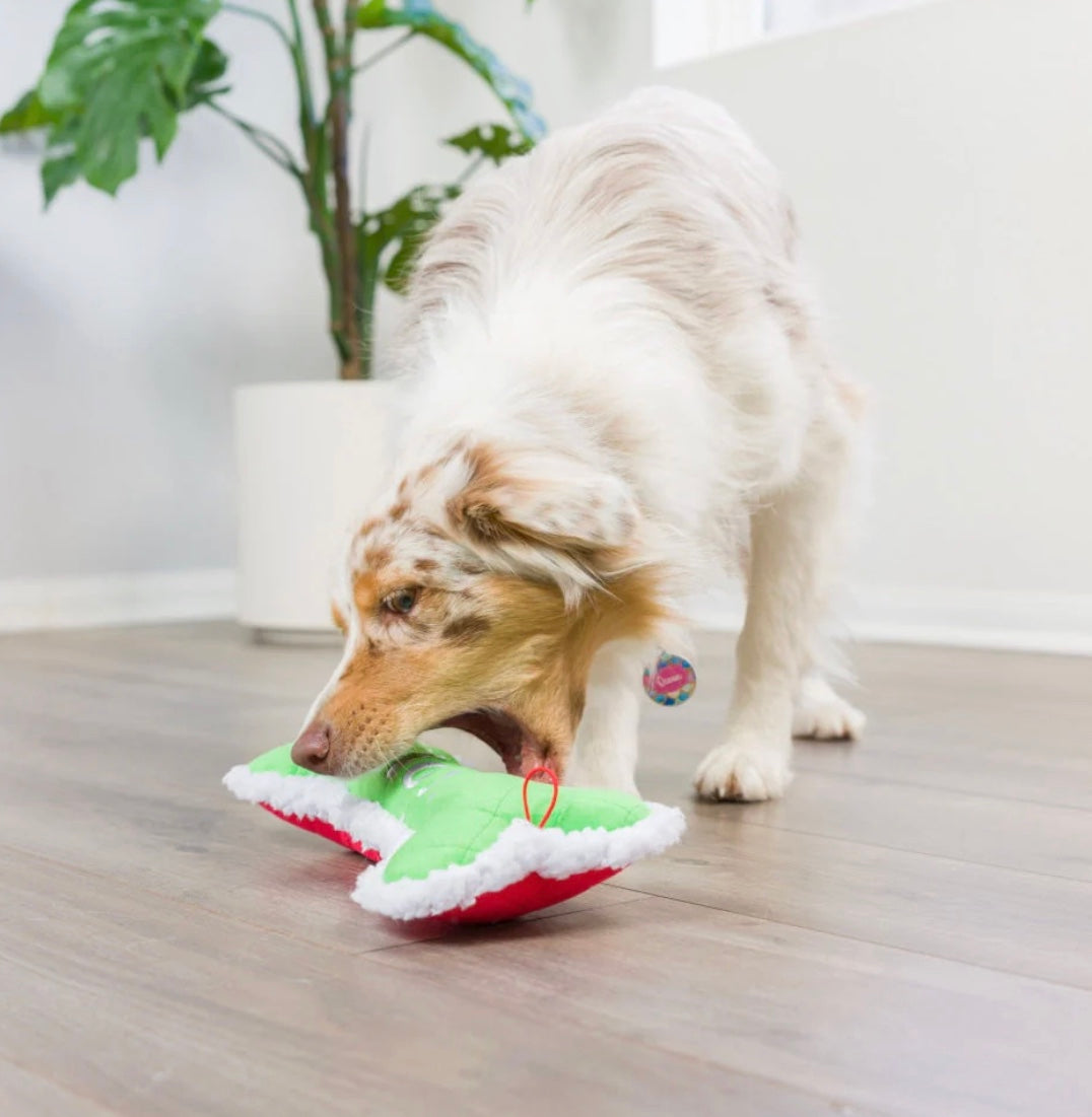 Christmas "Me Did It, I Sorry" Bone Toy For Dogs