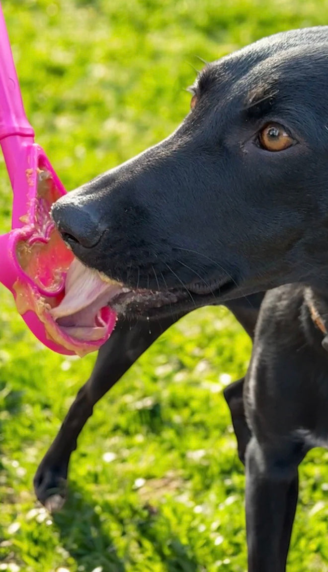 Ice Cream Lick Stick Hand-Held Interactive Enrichment Toys For Dogs