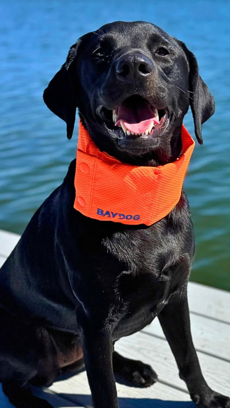 Arctic Bay Cooling Collar for Dogs