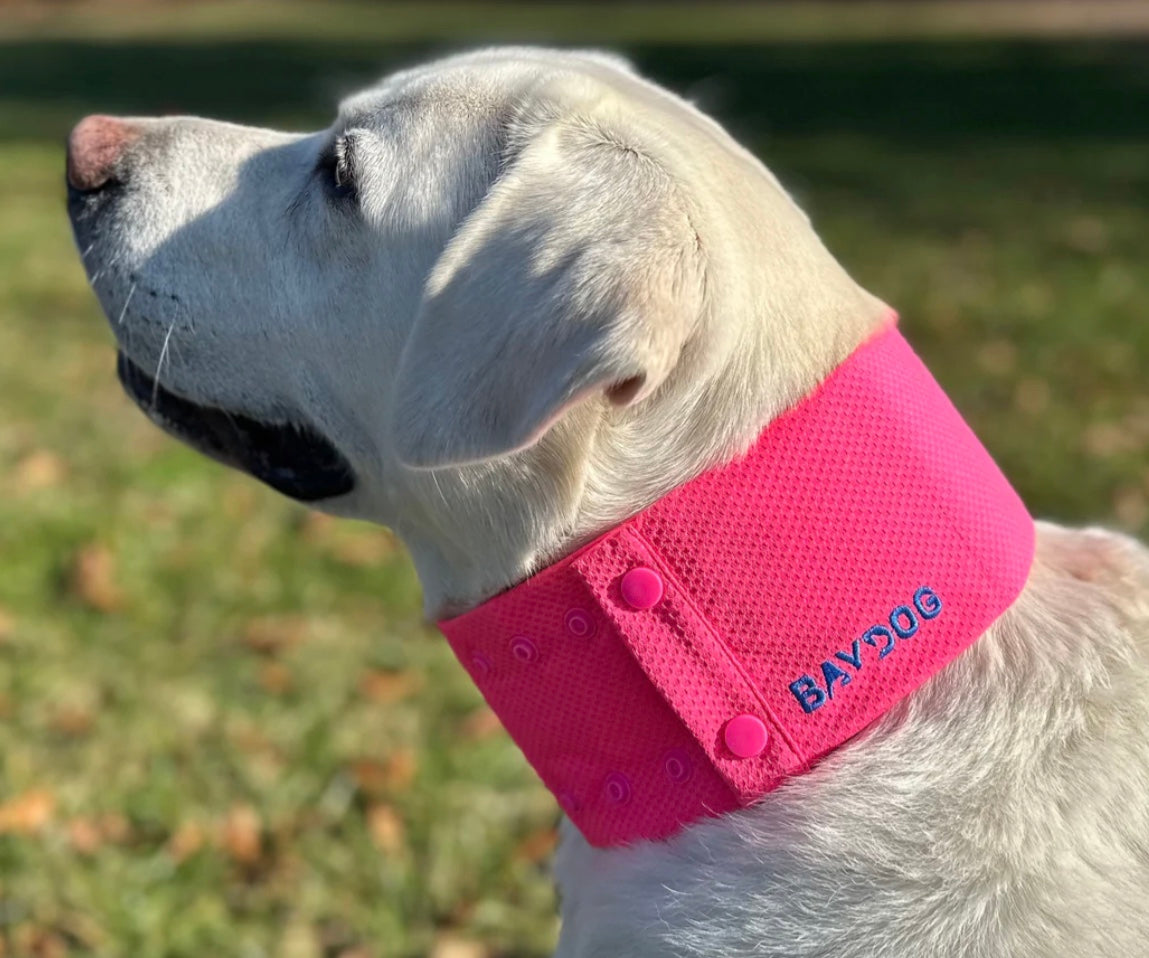 Arctic Bay Cooling Collar for Dogs