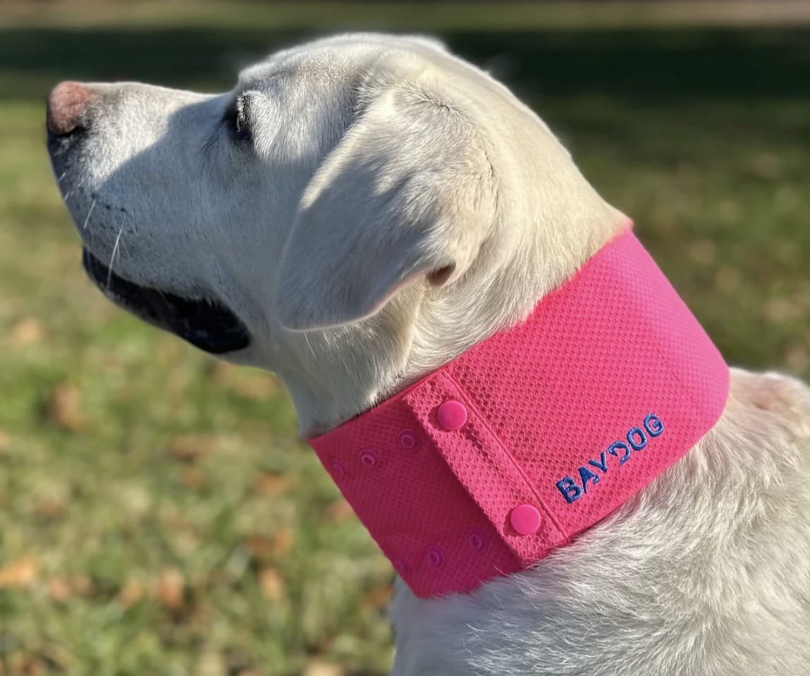 Arctic Bay Cooling Collar for Dogs-Boats n Barks