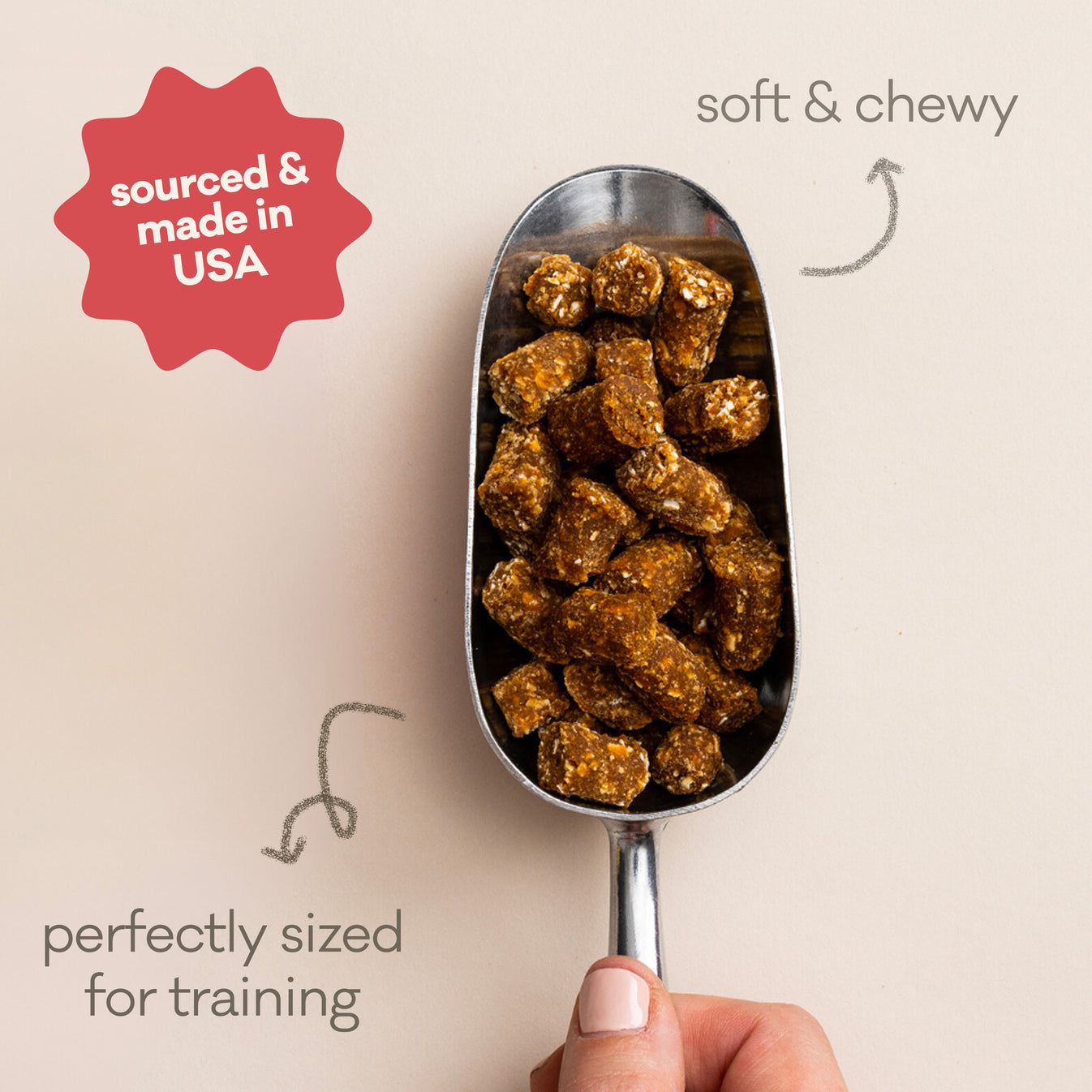 Wonder Nuggets Soft and Chewy Bites for Dogs-Sweet Potato & Beef Liver