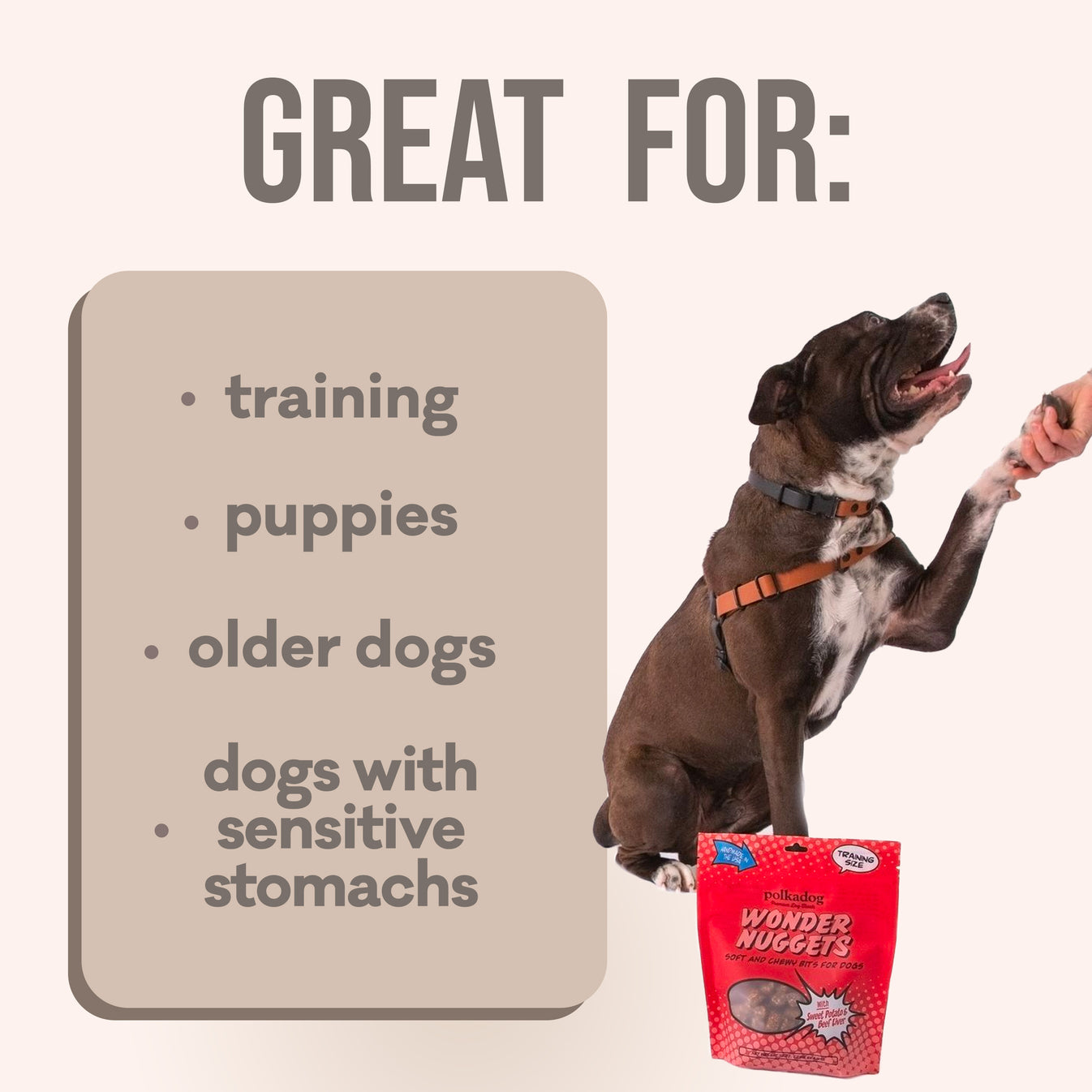 Wonder Nuggets Soft and Chewy Bites for Dogs-Sweet Potato & Beef Liver