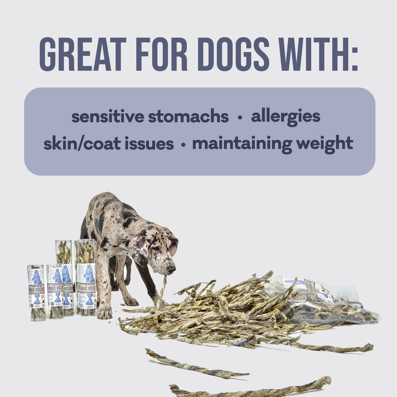 Cod Skins for Dogs by Polkadog