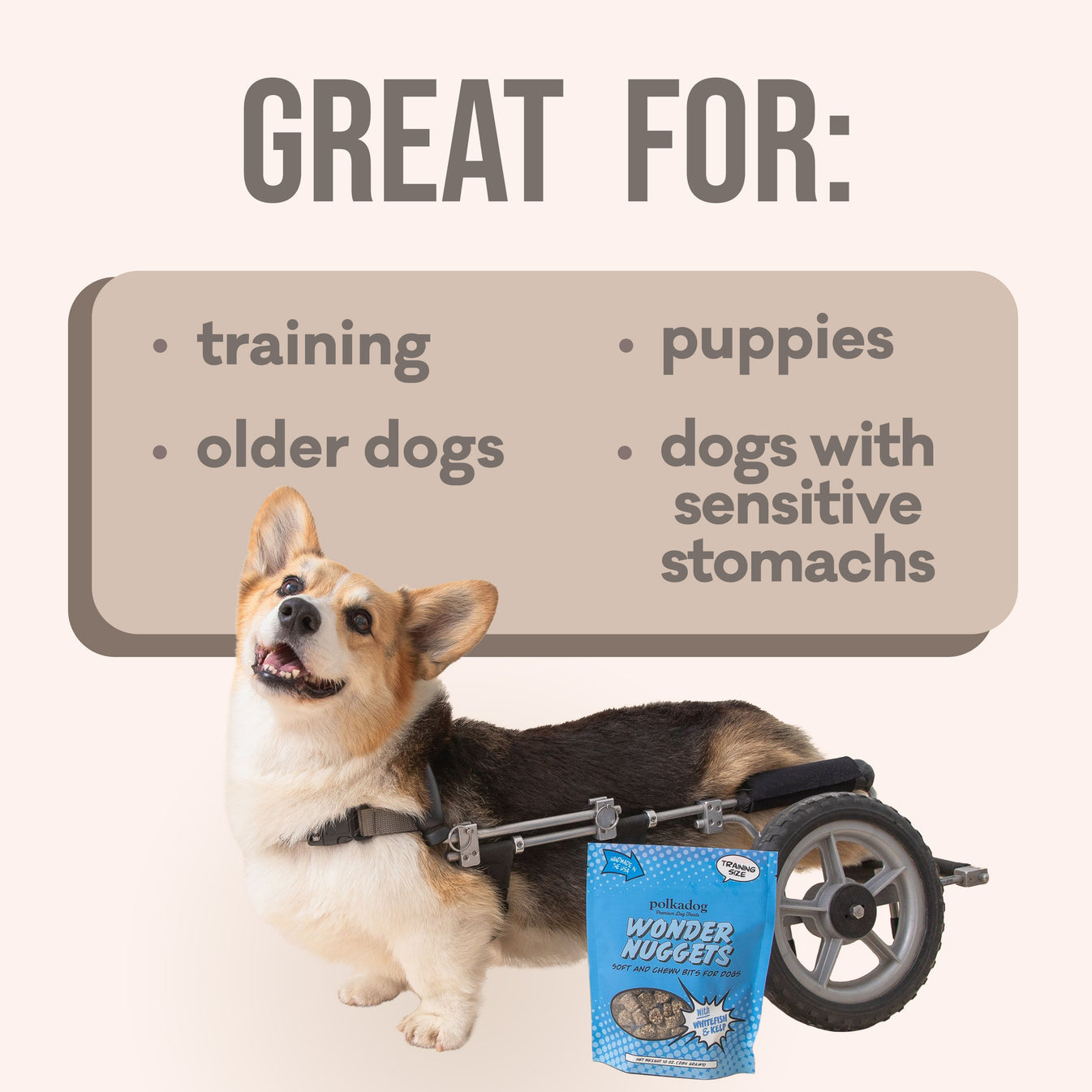 Wonder Nuggets Soft and Chewy Bites for Dogs-Whitefish & Kelp