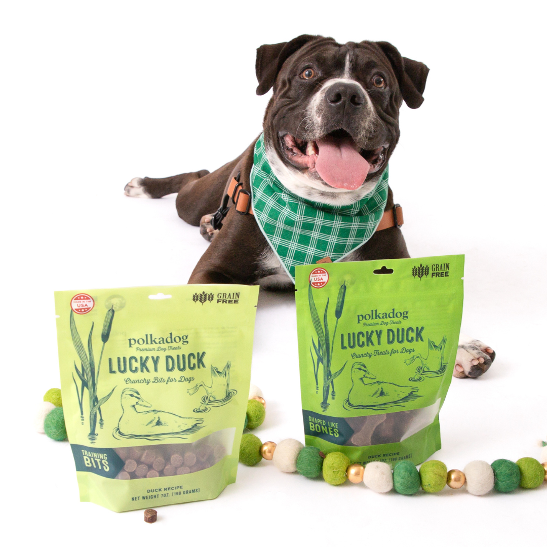 Lucky Duck Crunchy Bits Treats for Dogs