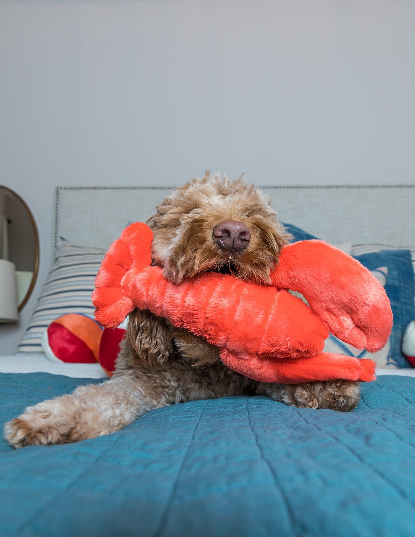 Fluff & Tuff Manny Lobster - Medium Plush Dog Toy