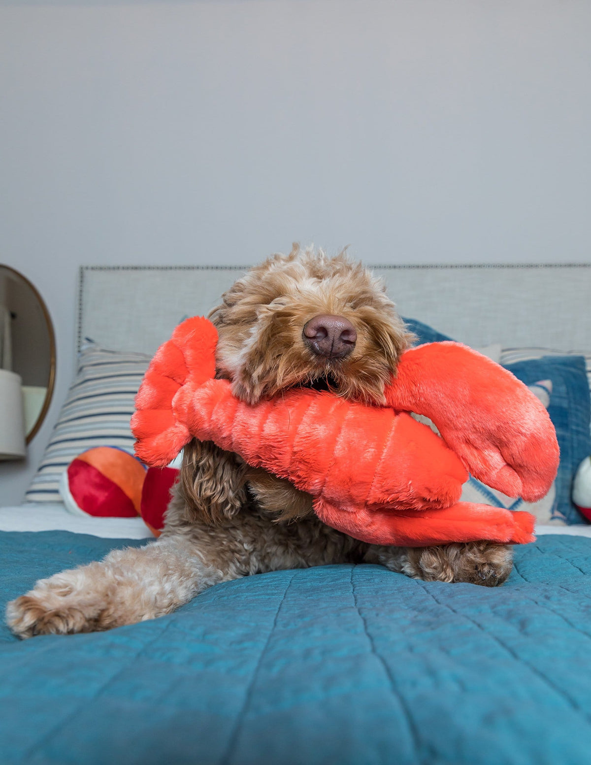 Fluff & Tuff Manny Lobster - Medium Plush Dog Toy-Boats n Barks