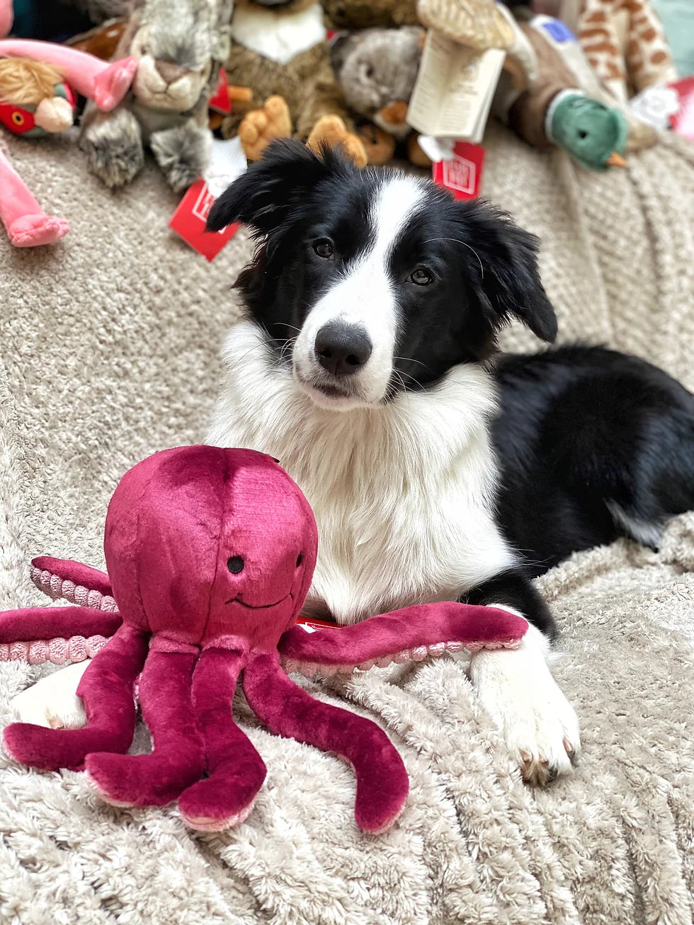 Fluff & Tuff Olympia Octopus - Medium Plush Dog Toy