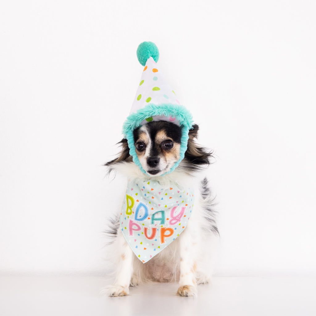 Birthday Hat (doubles as a toy) and Bandana for Small/Medium Dogs