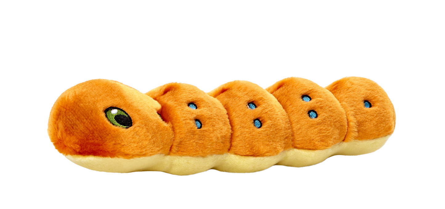Fluff & Tuff Spicy Caterpillar Soft Dog Toy with Squeaker Machine Washable