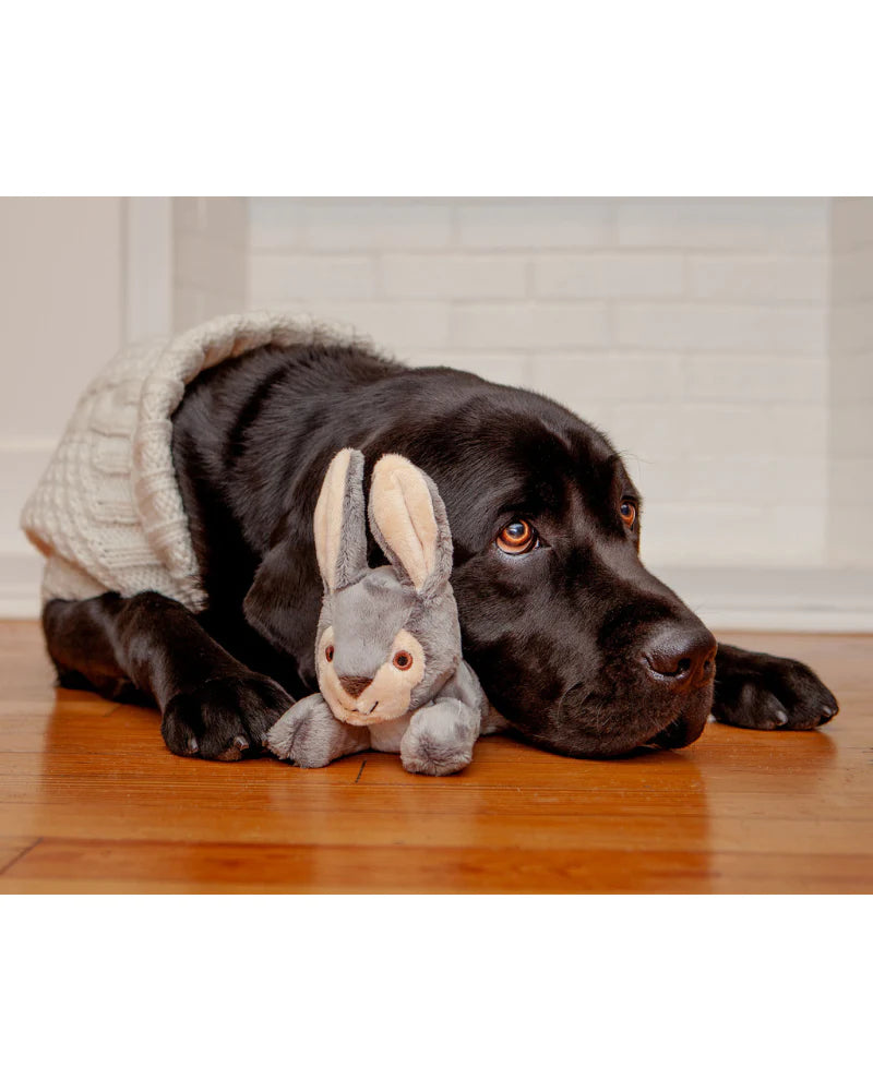 Fluff & Tuff Easter Walter Wabbit - Large Plush Dog Toy
