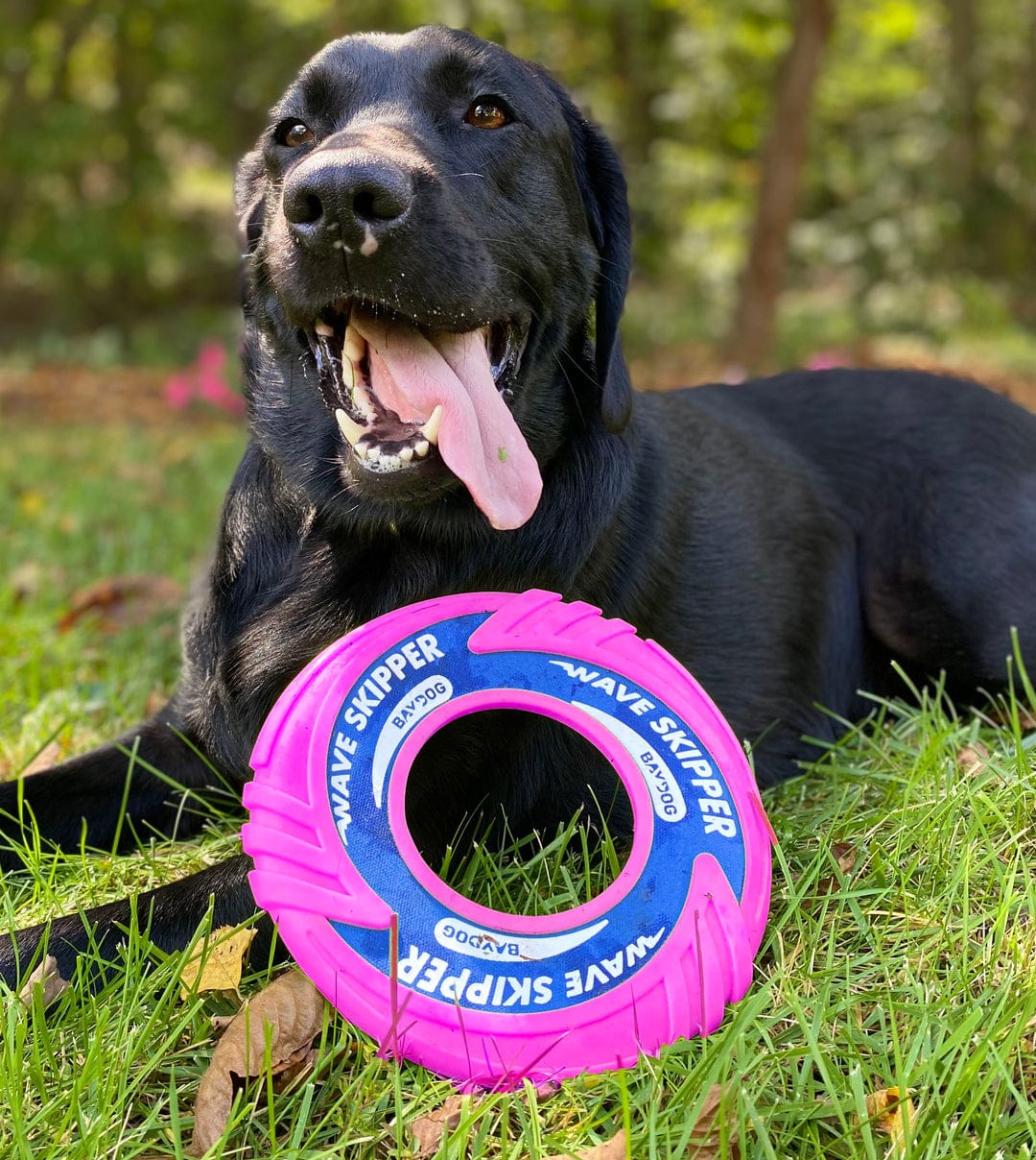Baydog Wave Skipper Floating Frisbee for Dogs-Boats n Barks