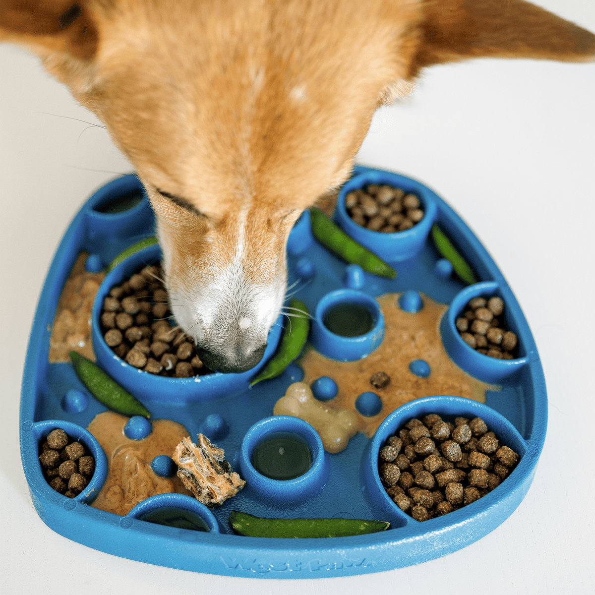 Feast Mat Slow Feeder and Lick Mat Combo for Dogs-Boats n Barks