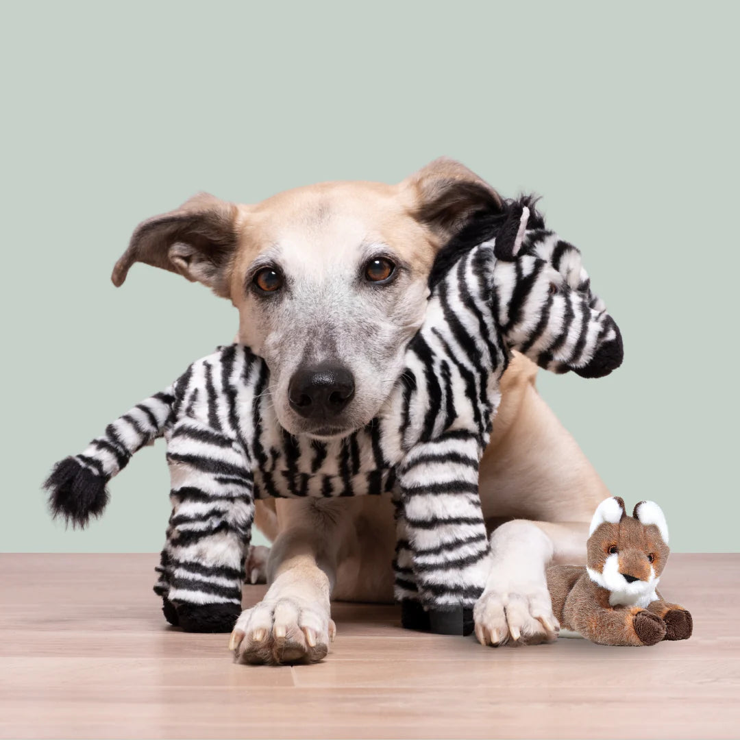 Fluff & Tuff Bob Zebra Soft Dog Toy with Squeaker Machine Washable 11.5"