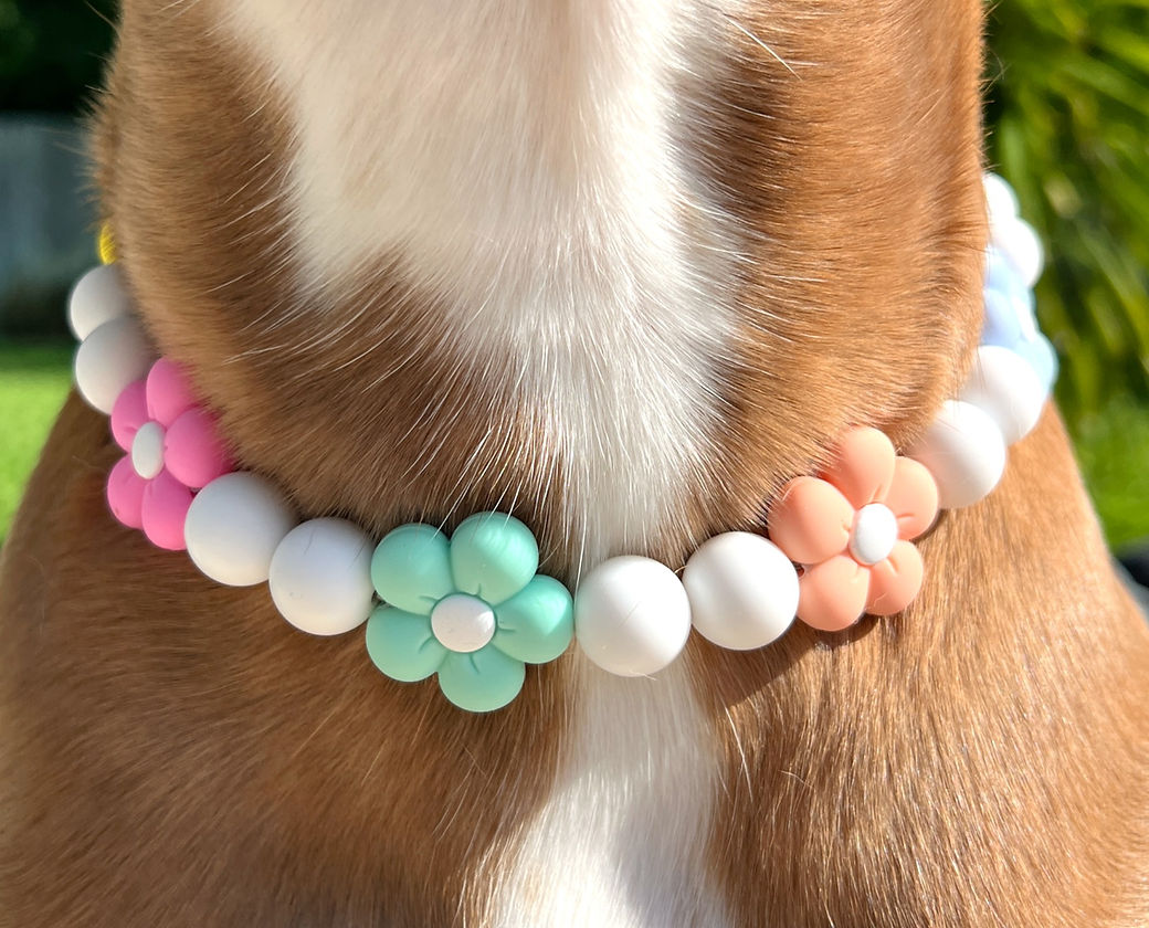 Dainty Paws Beaded Dog Collar Waterproof and Odor Resistant-Full Blooms
