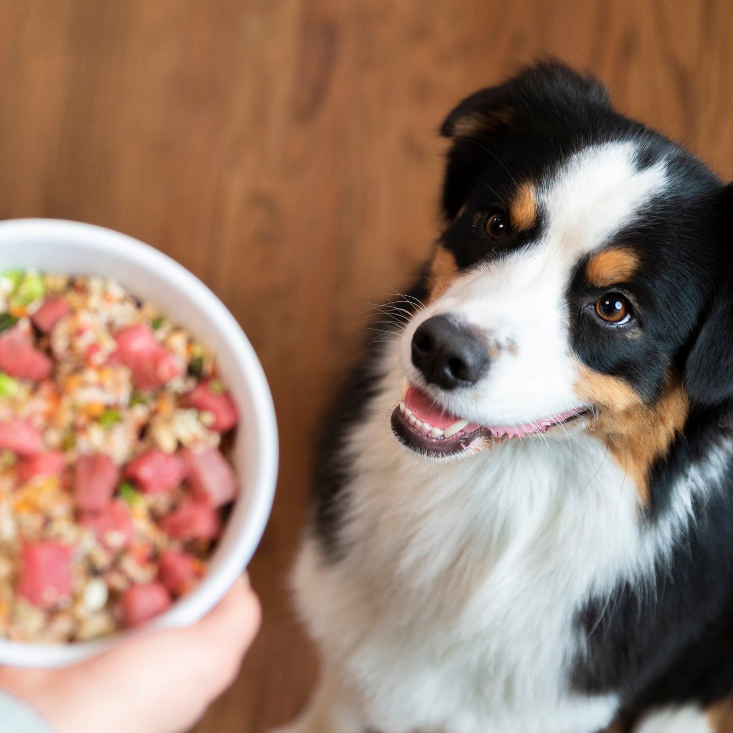 Dr. Harvey's Canine Health Miracle Dog Food, Human Grade Dehydrated Base Mix for Dogs with Organic Whole Grains and Vegetables