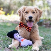 Huxley & Kent Halloween Dracula Bone Stuffed Toy with Squeaker for Dogs